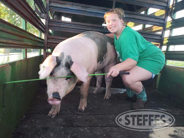 Anna Coulter, Competitive Swine, Gilt,